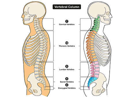 spinal column pain treatment in Ontario